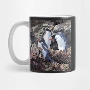 Snares Crested Penguins Mug